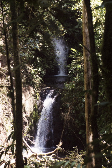 Waterfall, Monteverde