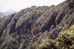 Monteverde Cloud Forest